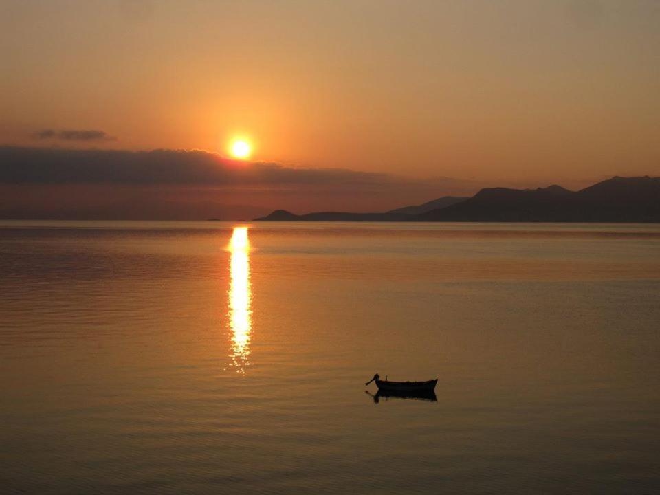 Hotel Avlakia กอกการี ภายนอก รูปภาพ